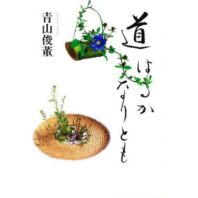 道はるかなりとも