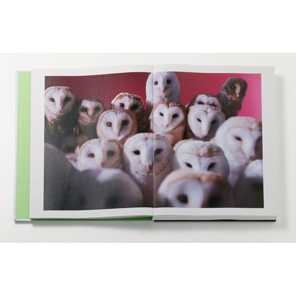 脳よだれ展２０２３　２２　ＨＯＲＭＯＮＥＳ　ＴＯ　ＭＡＫＥ　ＹＯＵＲ