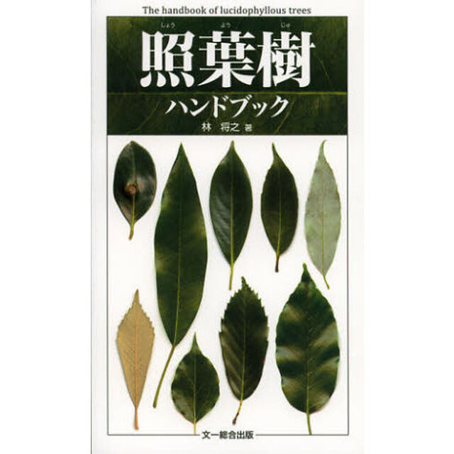 照葉樹ハンドブック