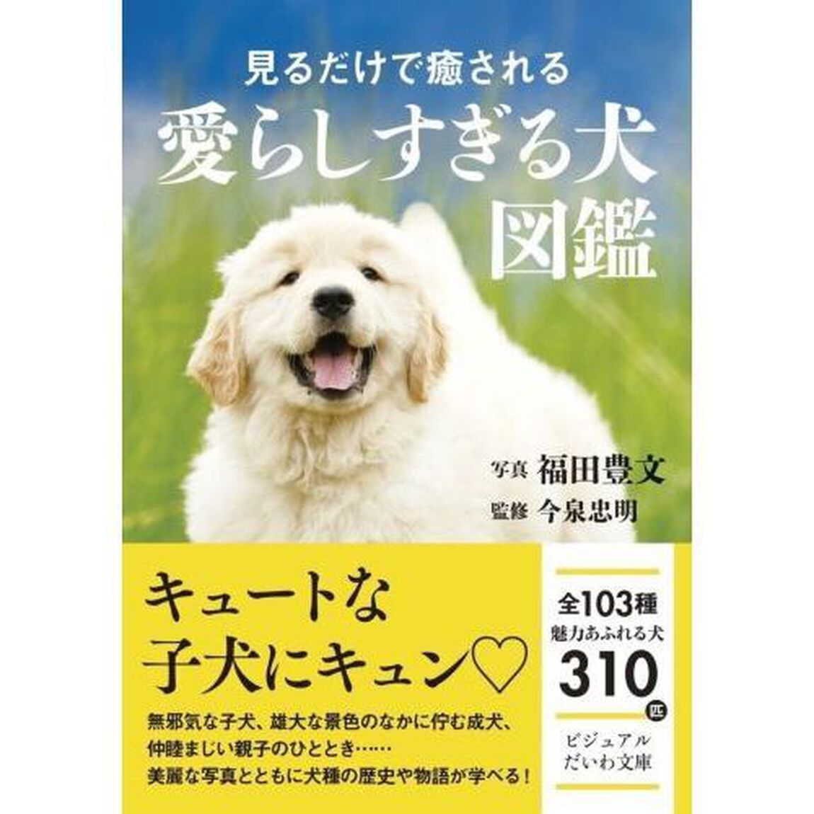 見るだけで癒される愛らしすぎる犬図鑑