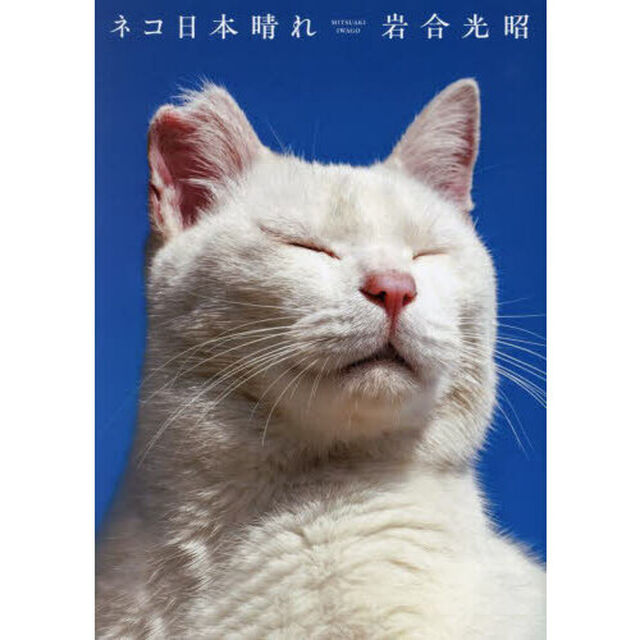 ネコ日本晴れ