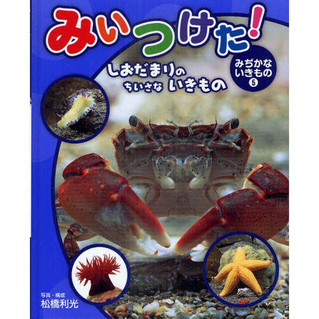 みいつけた！みぢかないきもの　５「しおだまりのちいさないきもの」