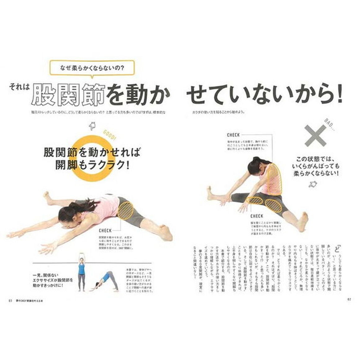 夢の３６０&deg;開脚を叶える本　痛みなしに！
