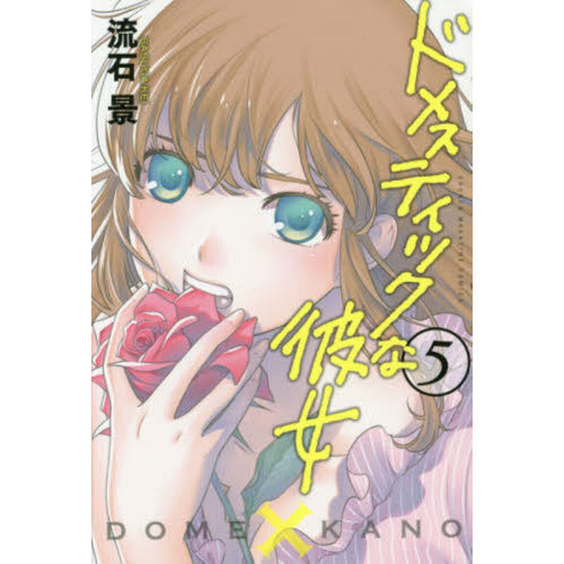 ドメスティックな彼女　５