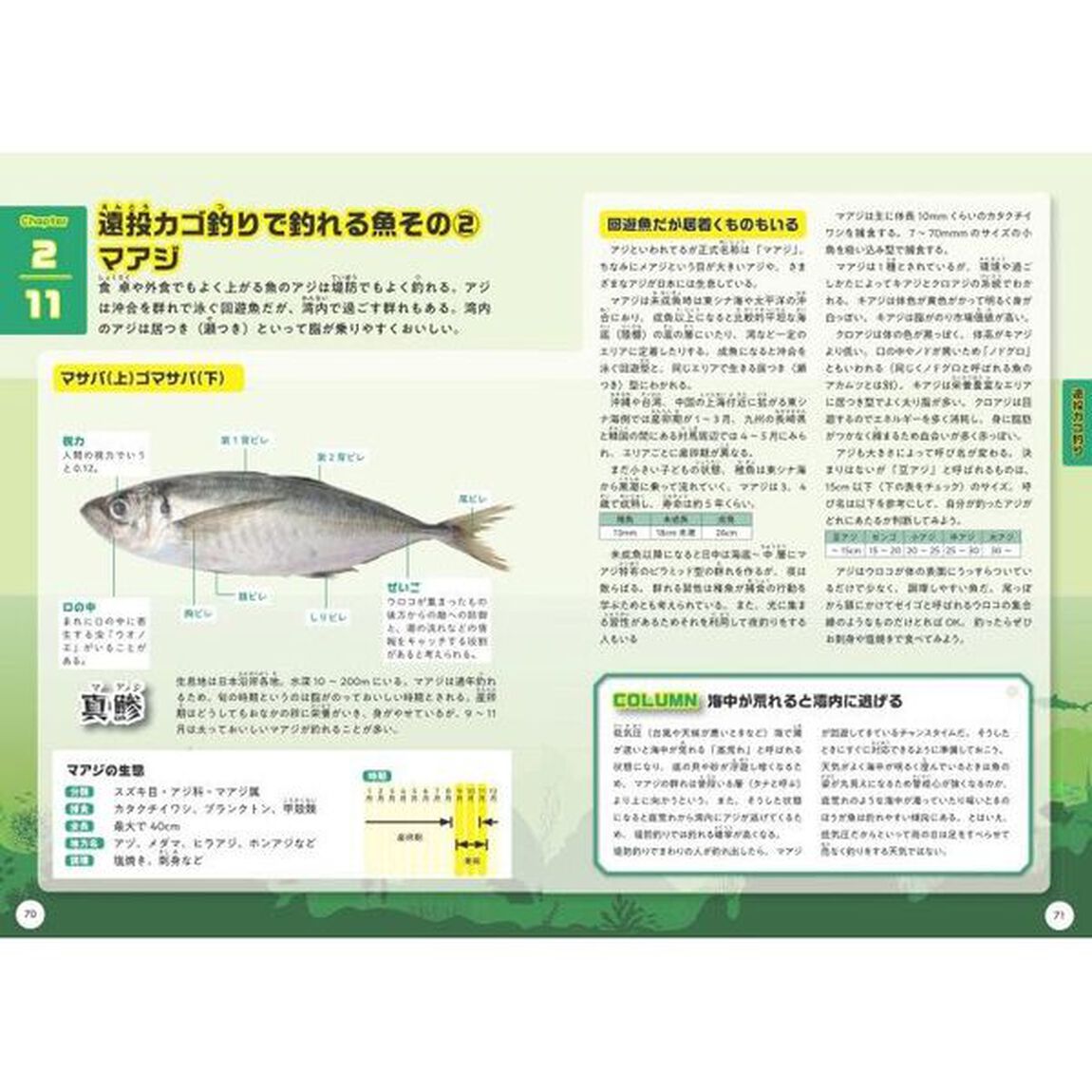 小学生でも安心！「海釣り」と「魚料理」きほんＢＯＯＫ　生態から食べ方までまるごと学ぼう