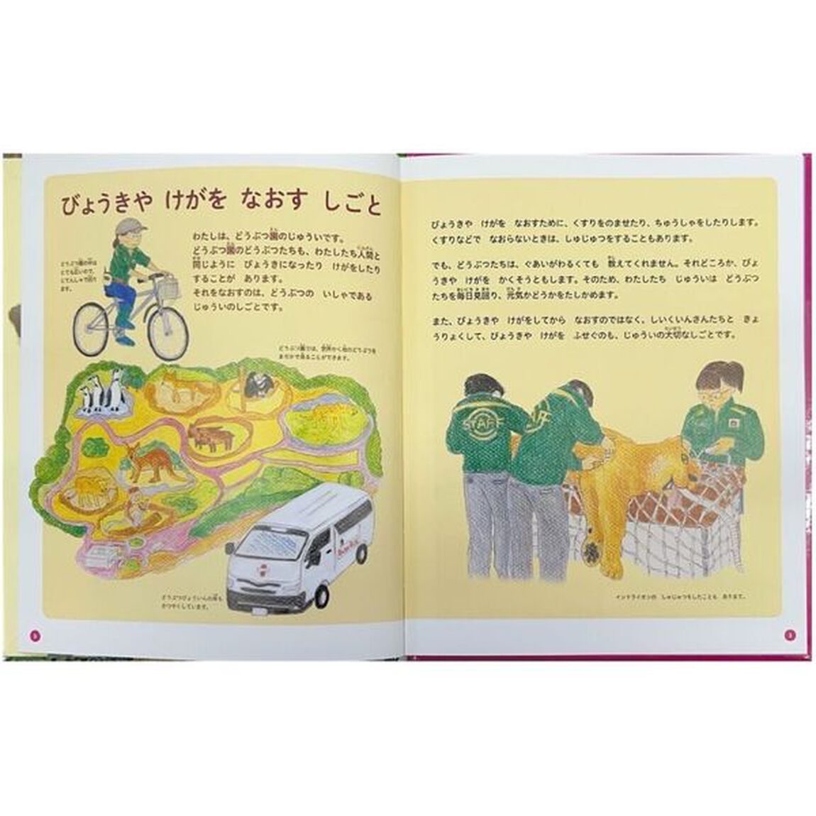 どうぶつ園のじゅうい　〔１〕「びょうきやけがをなおすしごと」