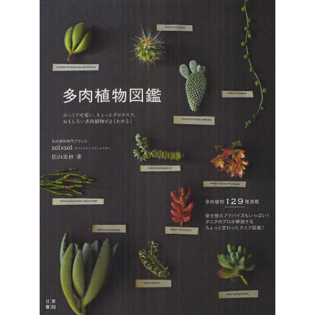 多肉植物図鑑　ぷっくり可愛い、ちょっとグロテスク、おもしろい多肉植物がよくわかる！　多肉植物１２９種掲載寄せ植えアドバイスもいっぱい！