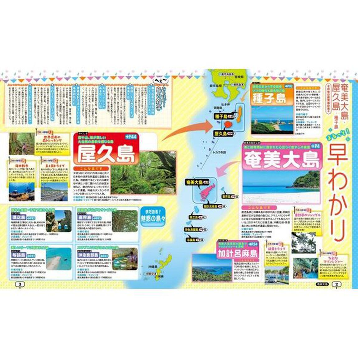 るるぶ奄美屋久島種子島　&rsquo;２５