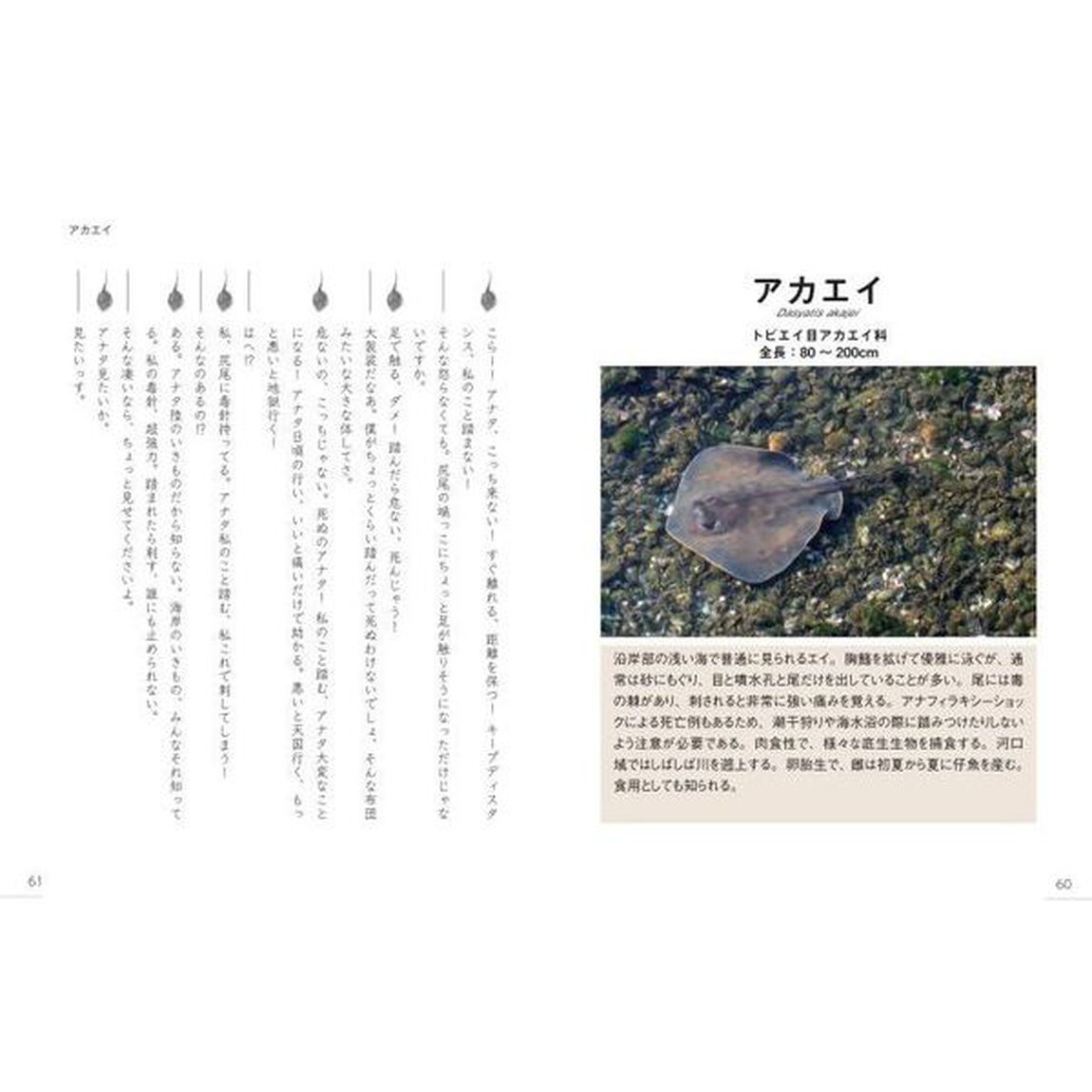身近な生物のきもち　君のそばにいるよ