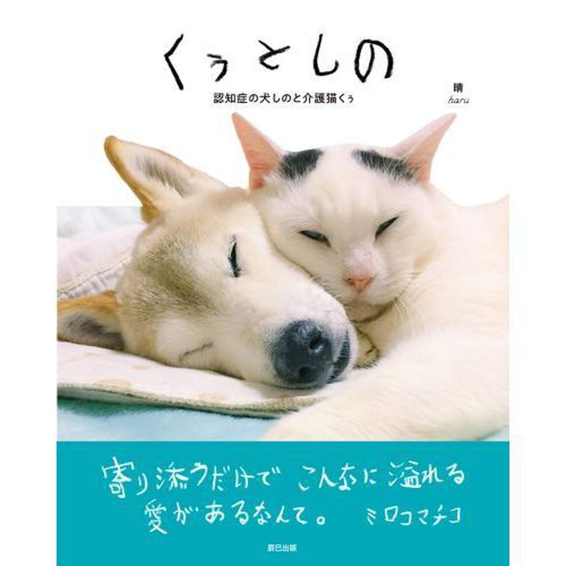 くぅとしの　認知症の犬しのと介護猫くぅ