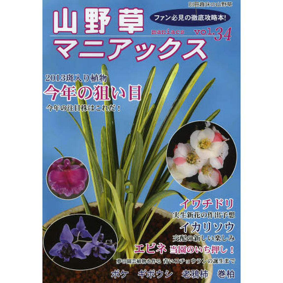 山野草マニアックス vol.34 斑入り植物◆エビネ◆老鴉柿◆ボケ ギボウシ・イカリソウ イワ (別冊趣味の山野草)「斑入り植物◆エビネ◆老鴉柿◆ボケ　ギボウシ・イカリソウ　イワチドリ・巻柏」