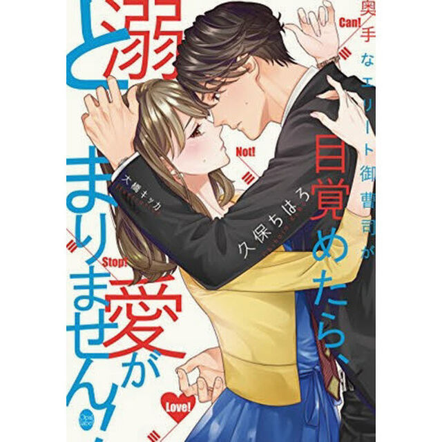 奥手なエリート御曹司が目覚めたら、溺愛がとまりません！