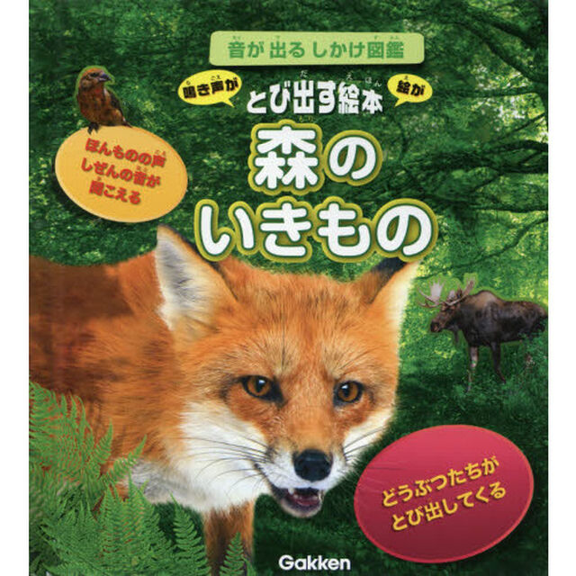 森のいきもの　とび出す絵本