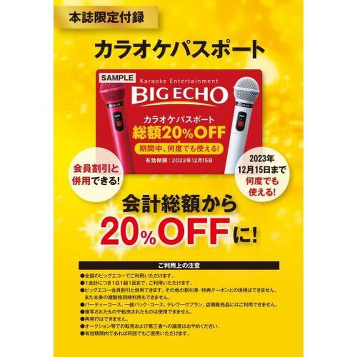 BIG ECHO FAN BOOK【SPECIALパスポートつき】 (TJMOOK)
