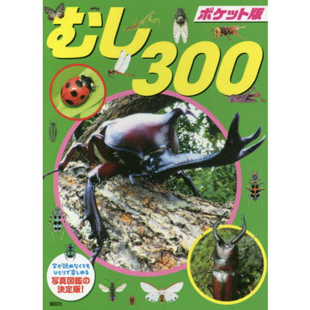 むし３００　ポケット版
