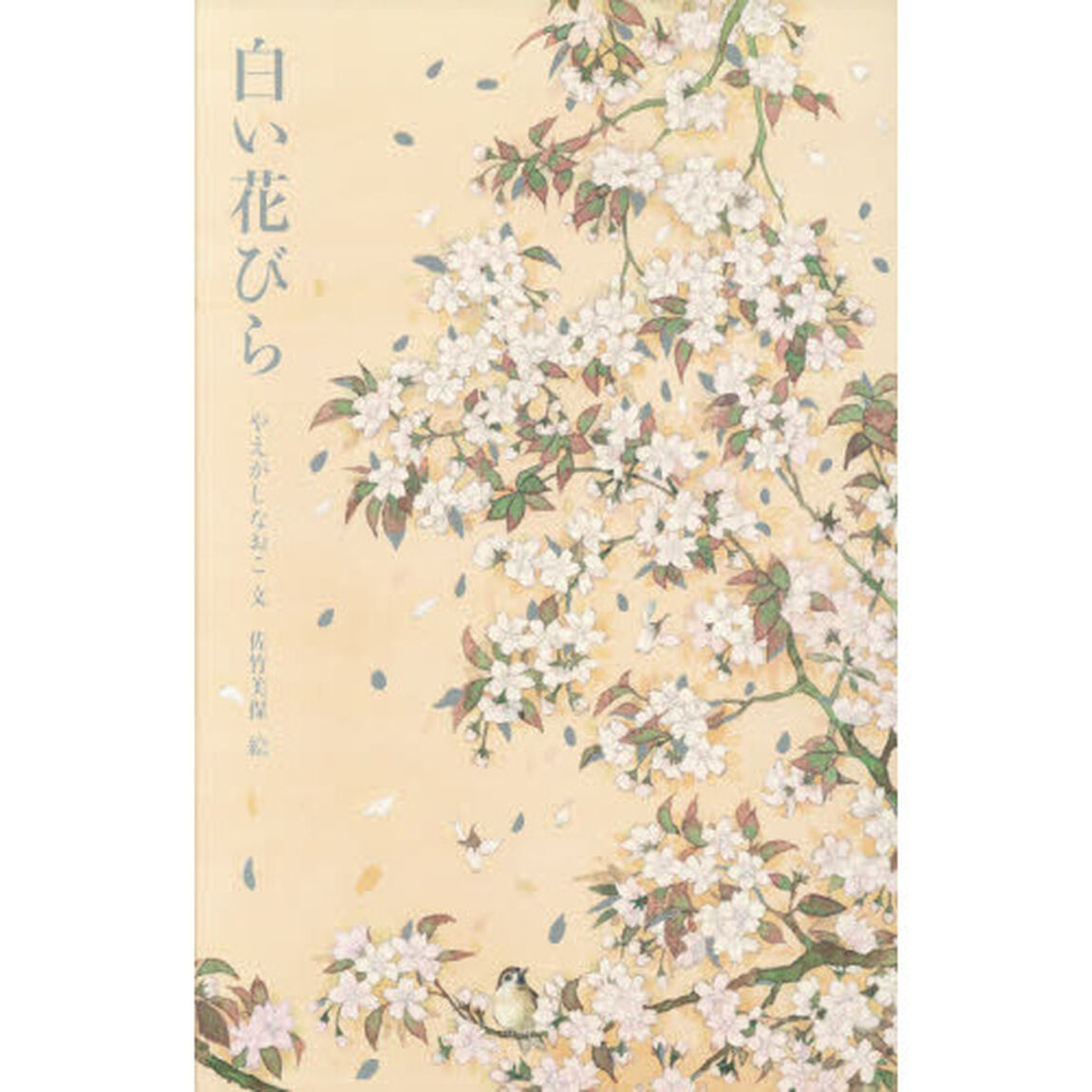白い花びら