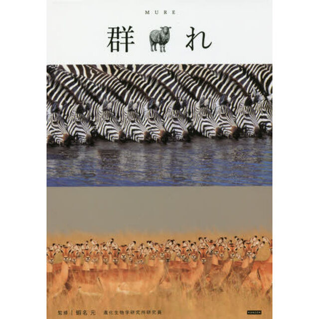 群れ