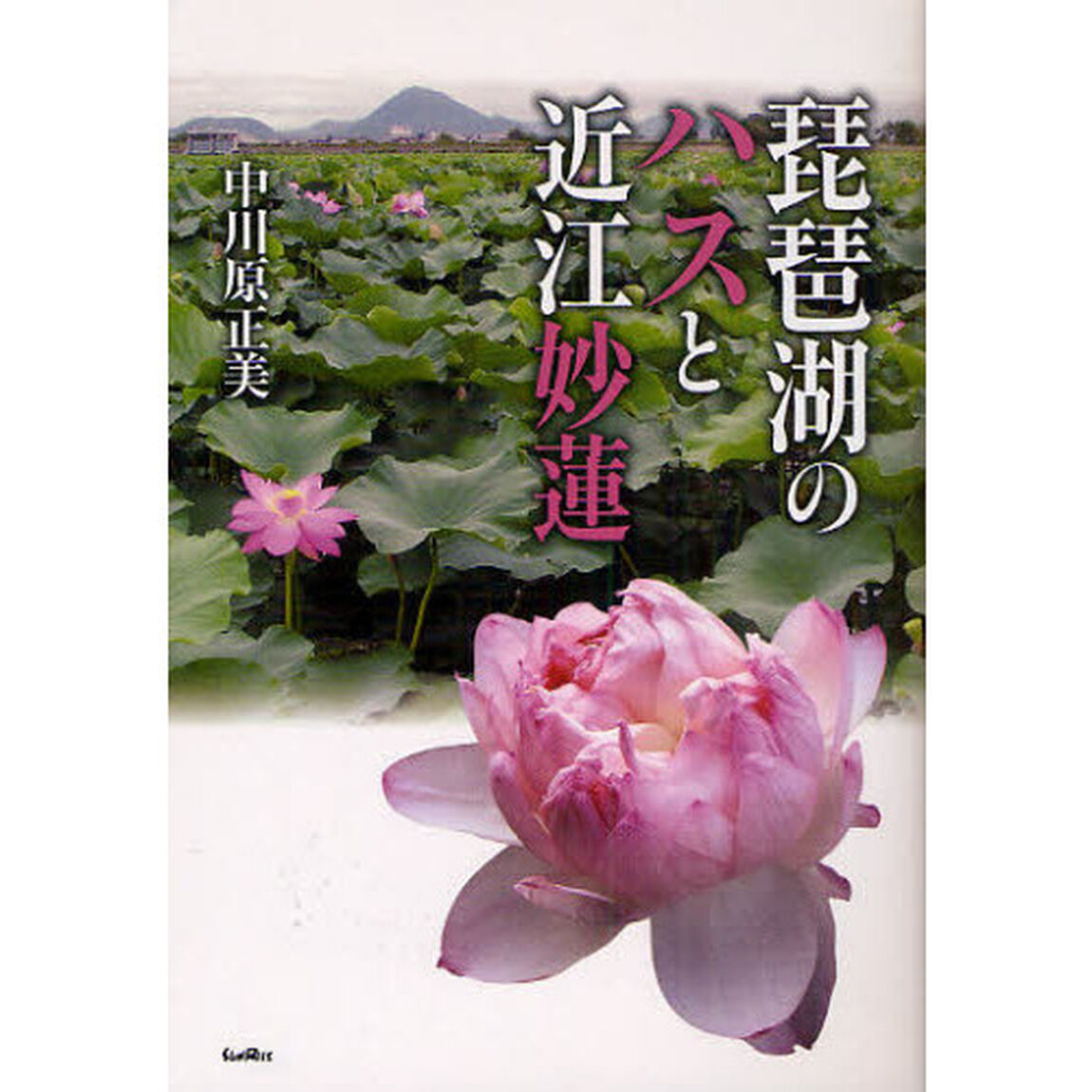 琵琶湖のハスと近江妙蓮
