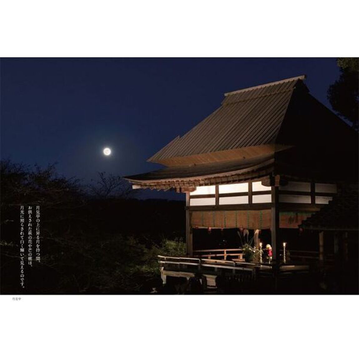 ほとけの誓い、おもき石山　紫式部ゆかりの寺にて