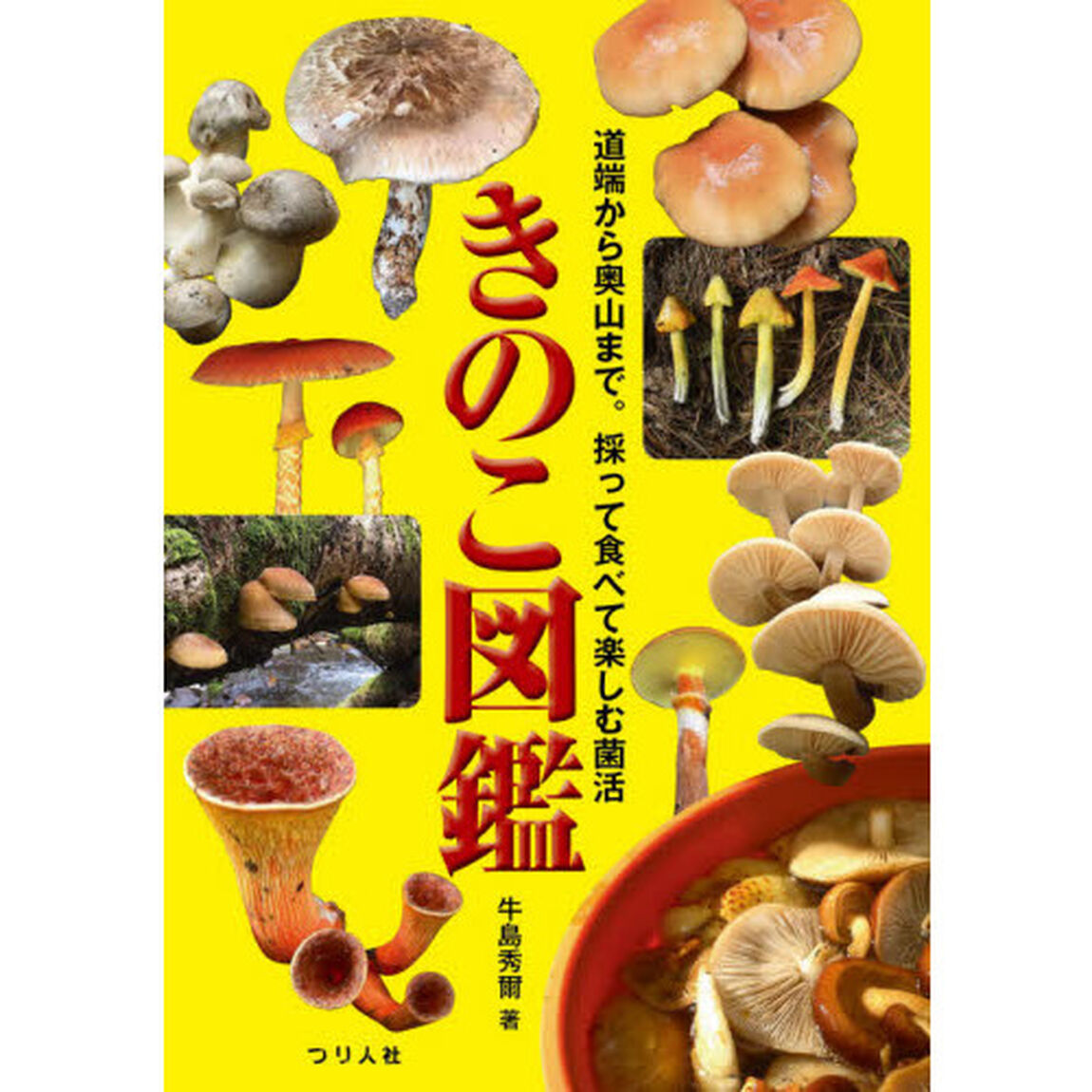きのこ図鑑　道端から奥山まで。採って食べて楽しむ菌活