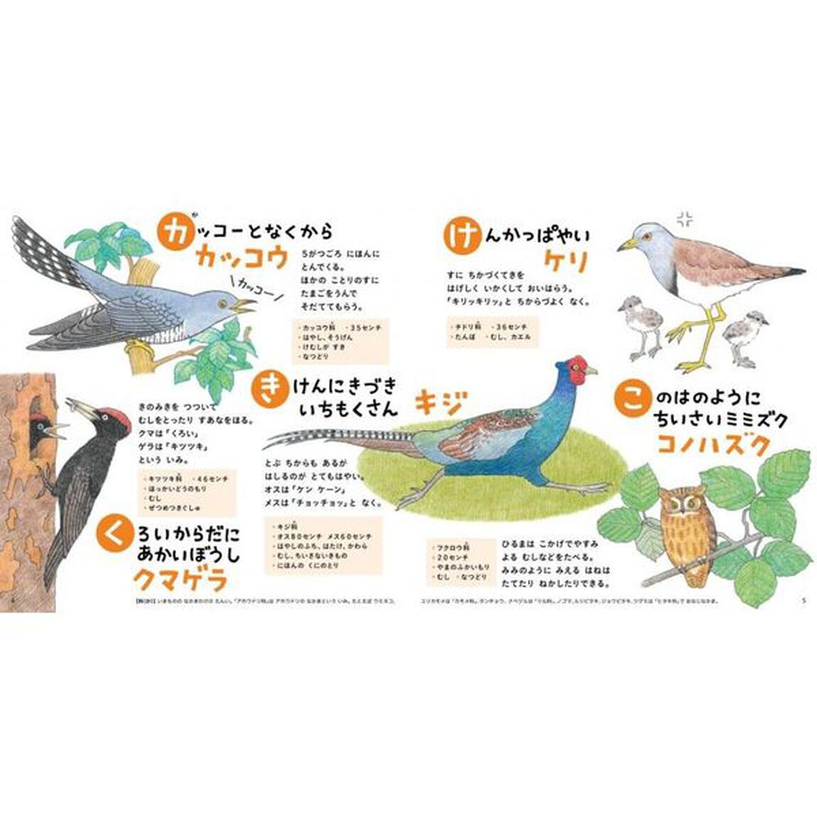 とりのずかん