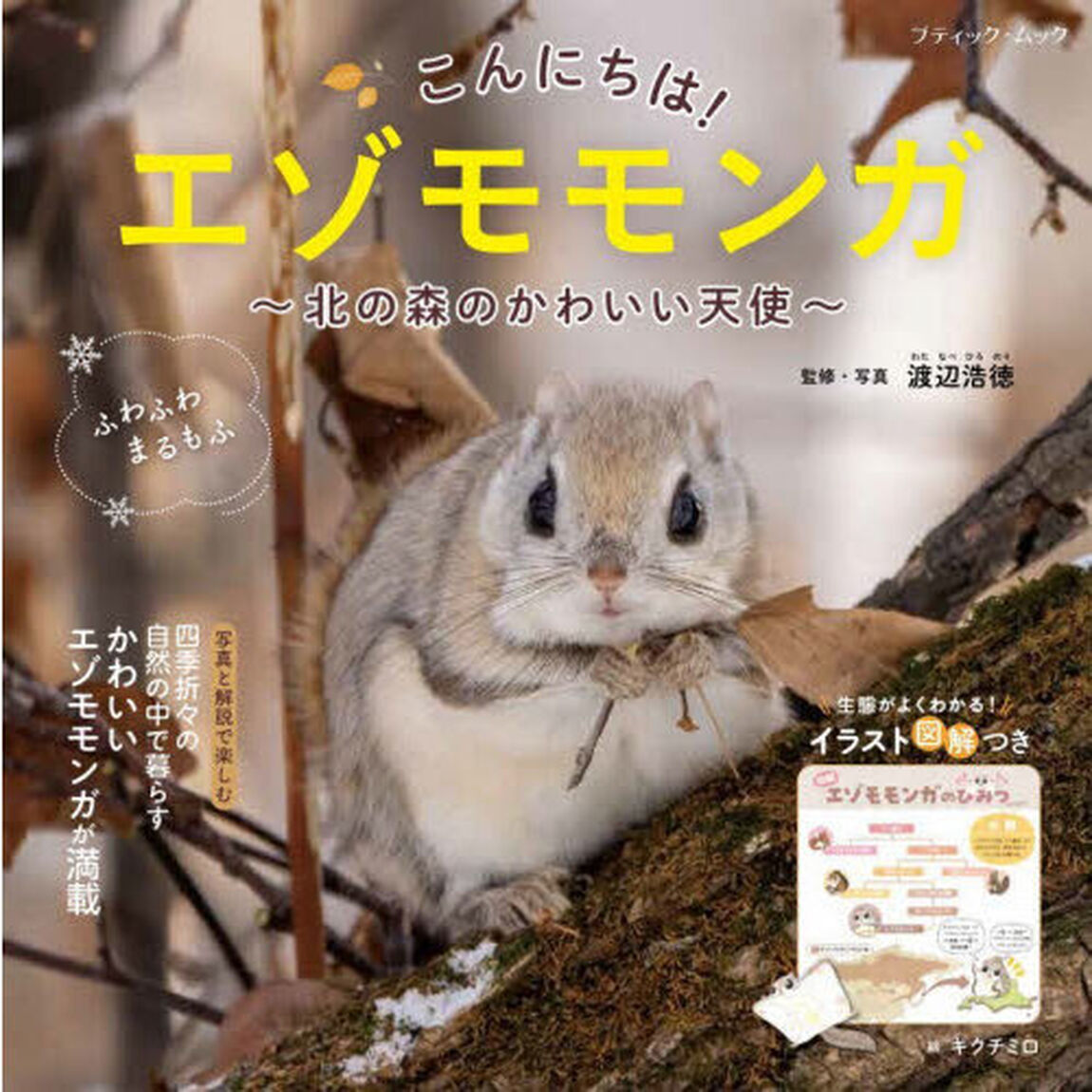 こんにちは！エゾモモンガ　北の森のかわいい天使