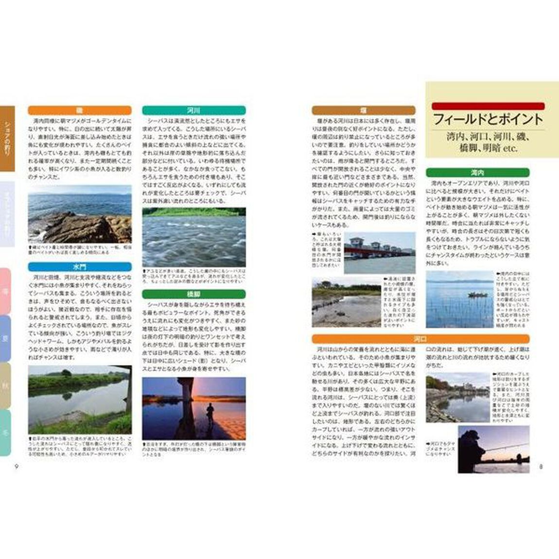 ルアーフィッシングレッドオーシャン戦略　基本を知り、応用を知れば百戦危うからず　シーバス、タチウオ、アオリイカなど激戦の人気ターゲットを中心に釣果直結の基本とキモを詳解！
