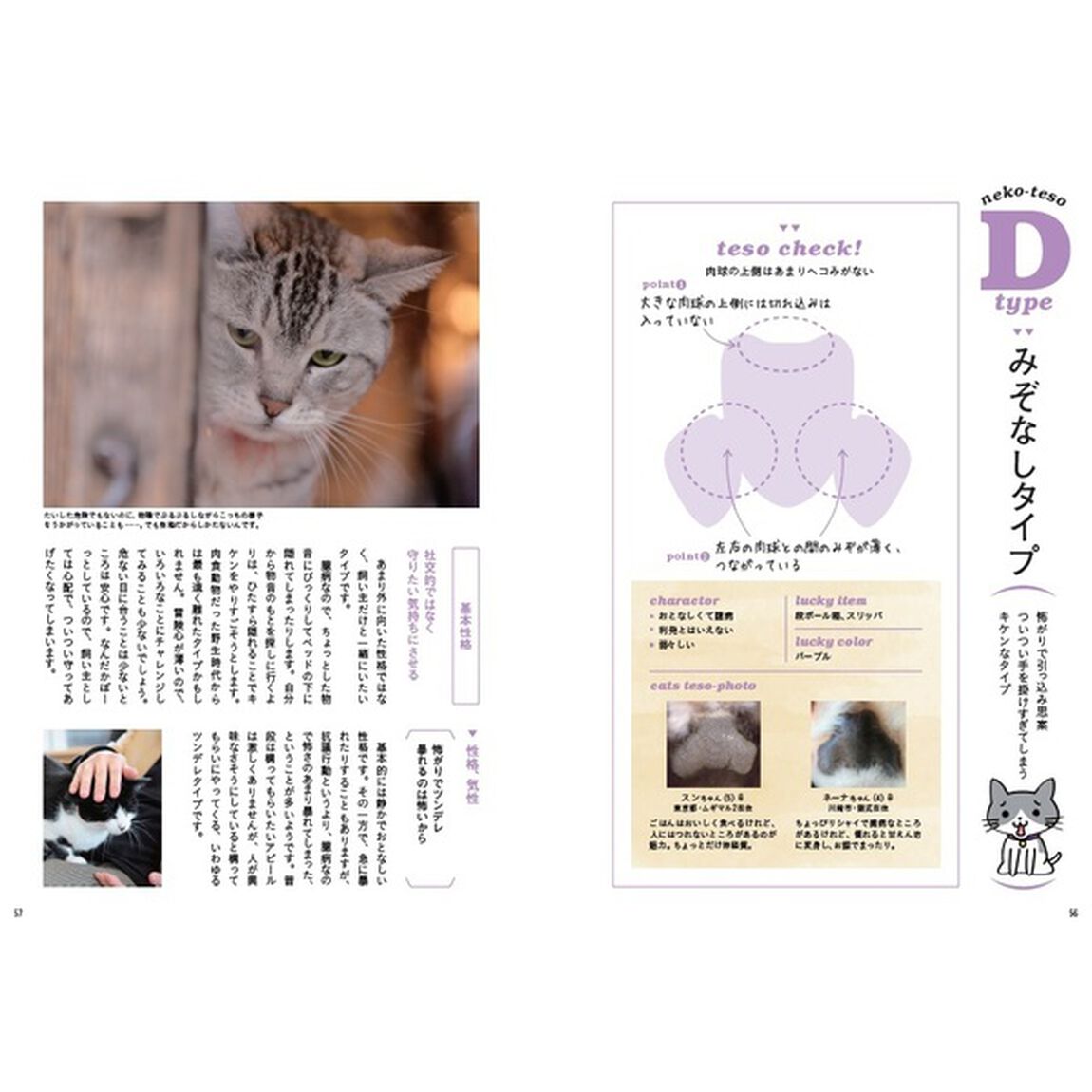 ねこてそ