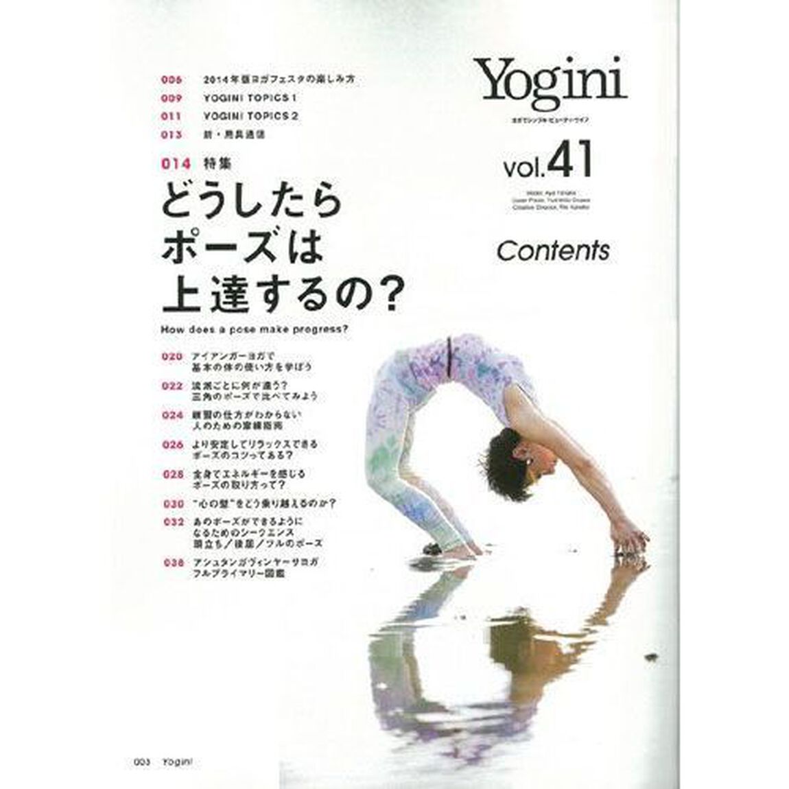 Ｙｏｇｉｎｉ　ヨガでシンプル・ビューティ・ライフ　ｖｏｌ．４１「特集ポーズを上達するためにすべきこと」