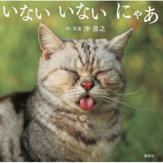 いないいないにゃあ
