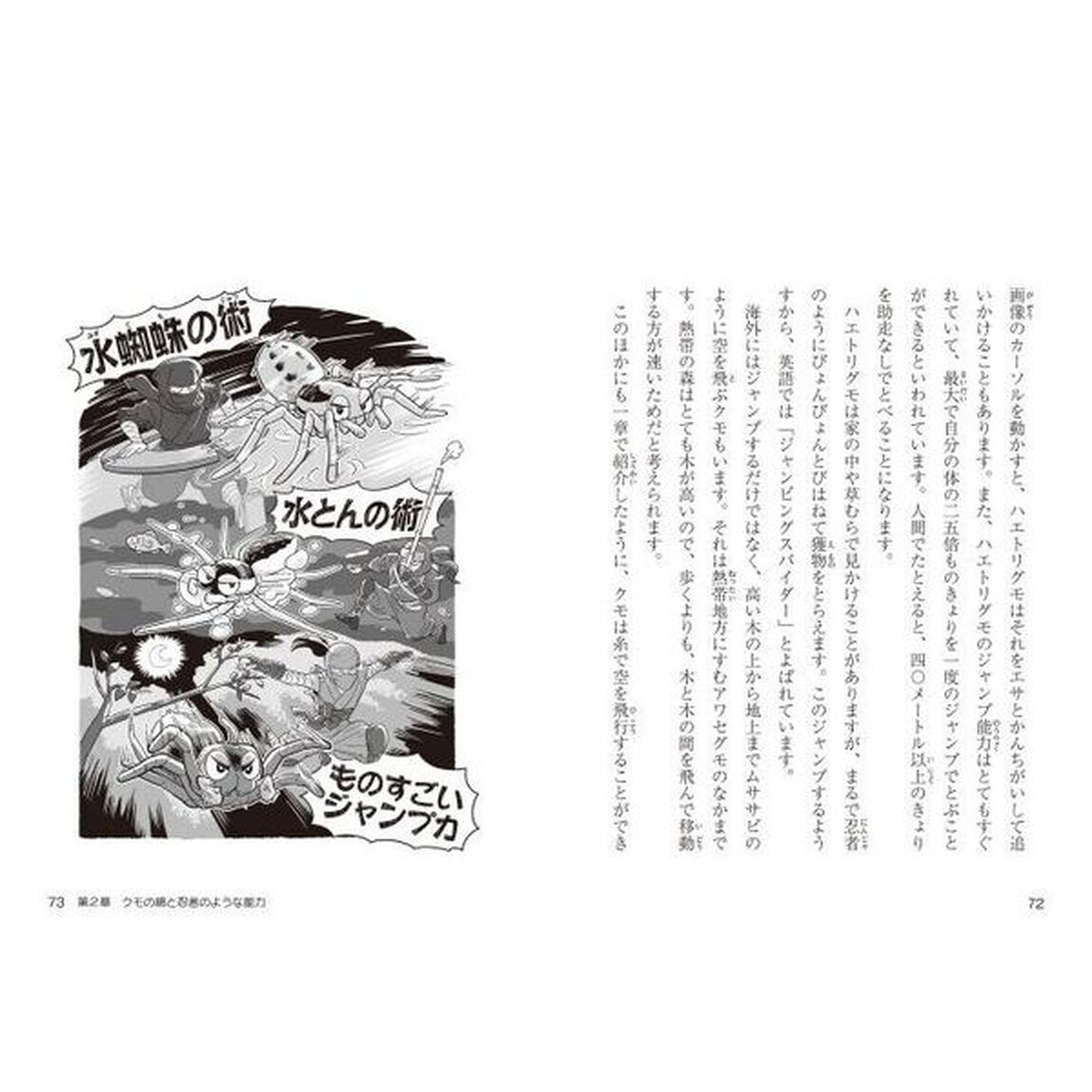 知れば楽しいクモの世界　網のひみつと忍者のような能力！？