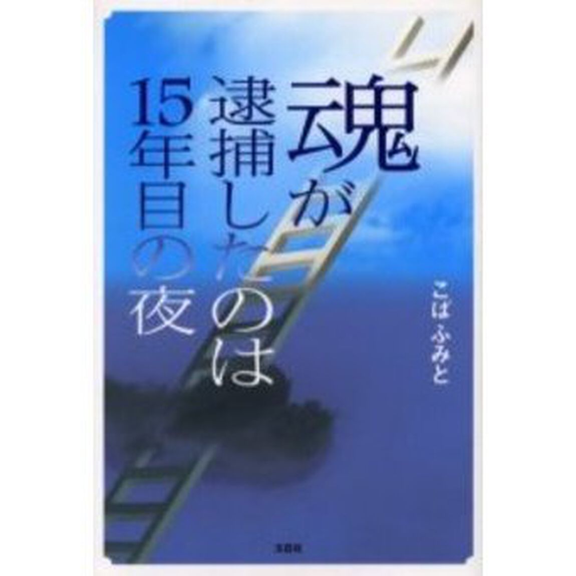 魂が逮捕したのは１５年目の夜