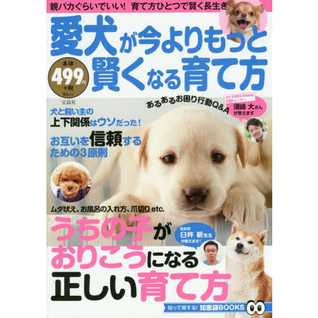 愛犬が今よりもっと賢くなる育て方