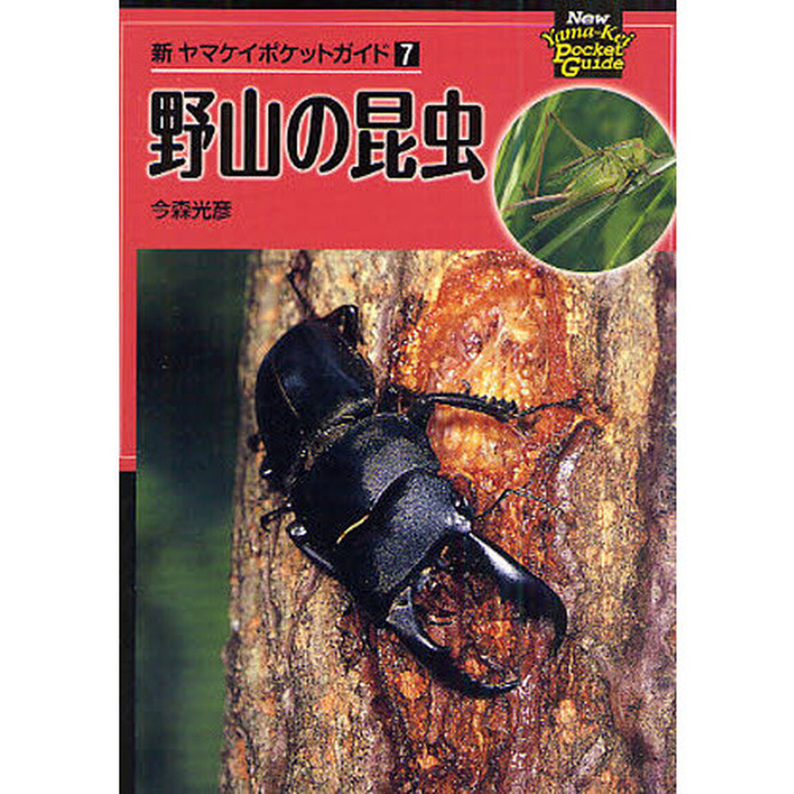 野山の昆虫