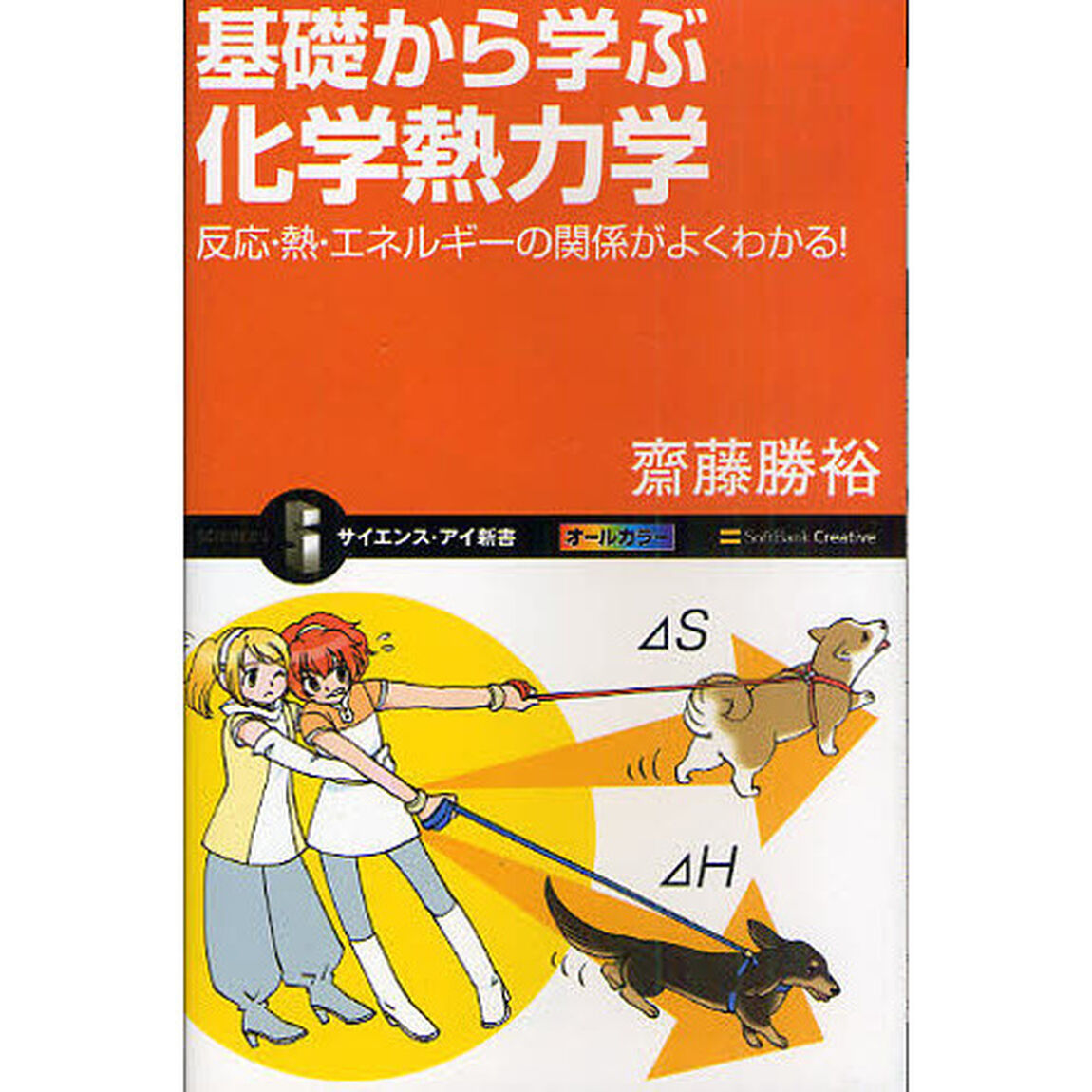 基礎から学ぶ化学熱力学　反応・熱・エネルギーの関係がよくわかる！
