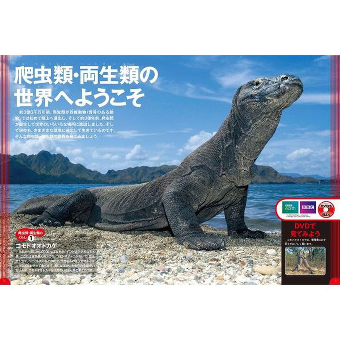 学研の図鑑ＬＩＶＥ　爬虫類・両生類