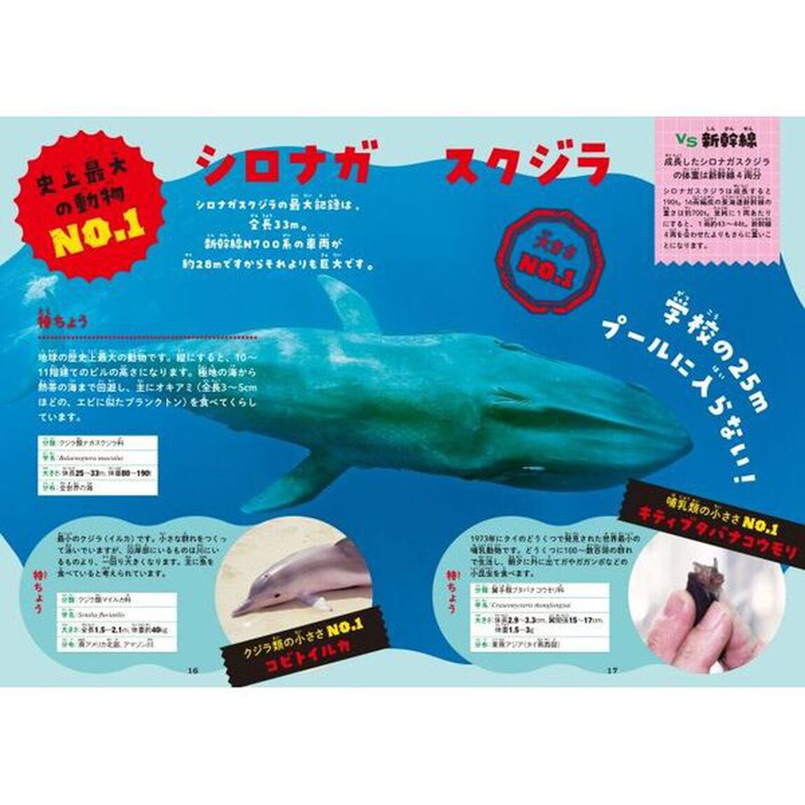 動物Ｎｏ．１図鑑
