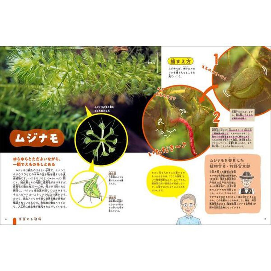 技あり！モーレツ植物ずかん　１「食虫する系・取引する系」