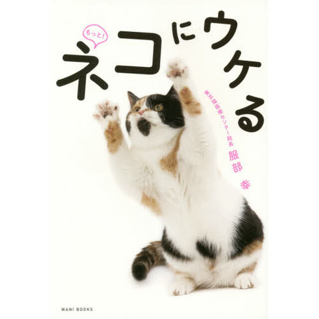 もっと！ネコにウケる