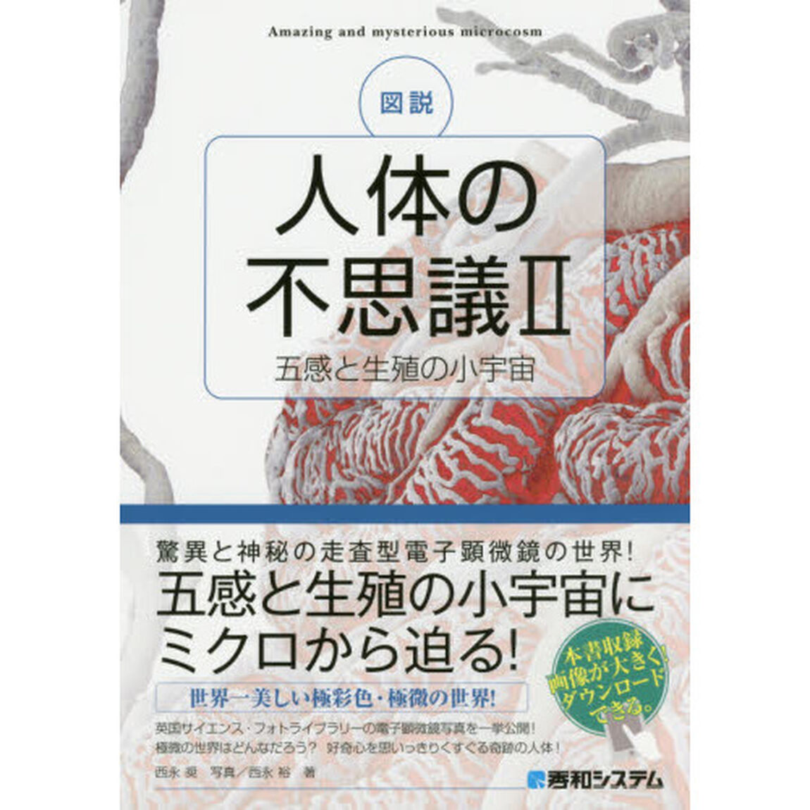 図説人体の不思議　２「五感と生殖の小宇宙」