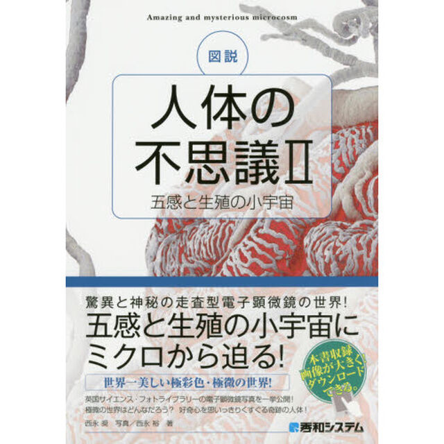 図説人体の不思議　２「五感と生殖の小宇宙」