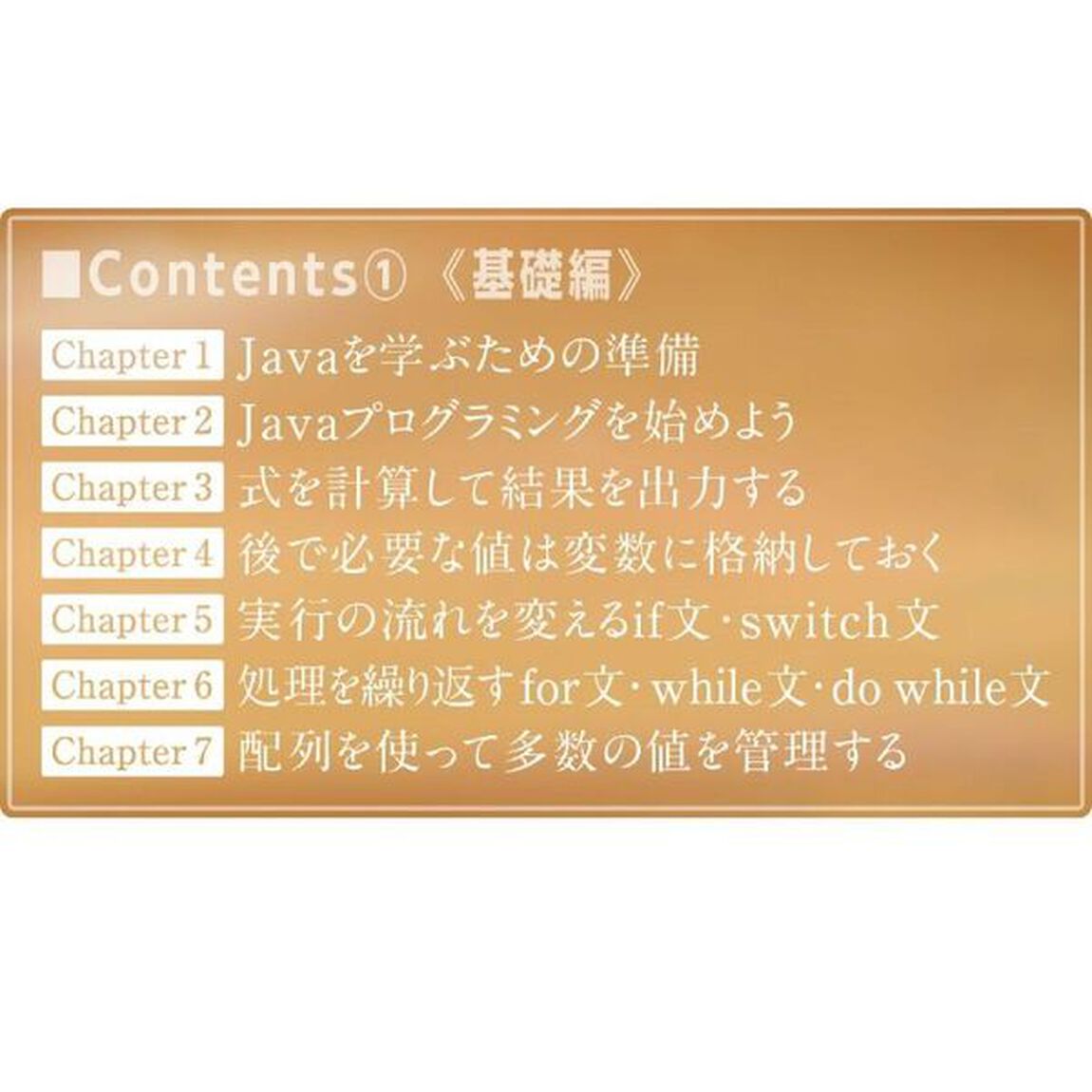 Ｊａｖａ〈完全〉入門
