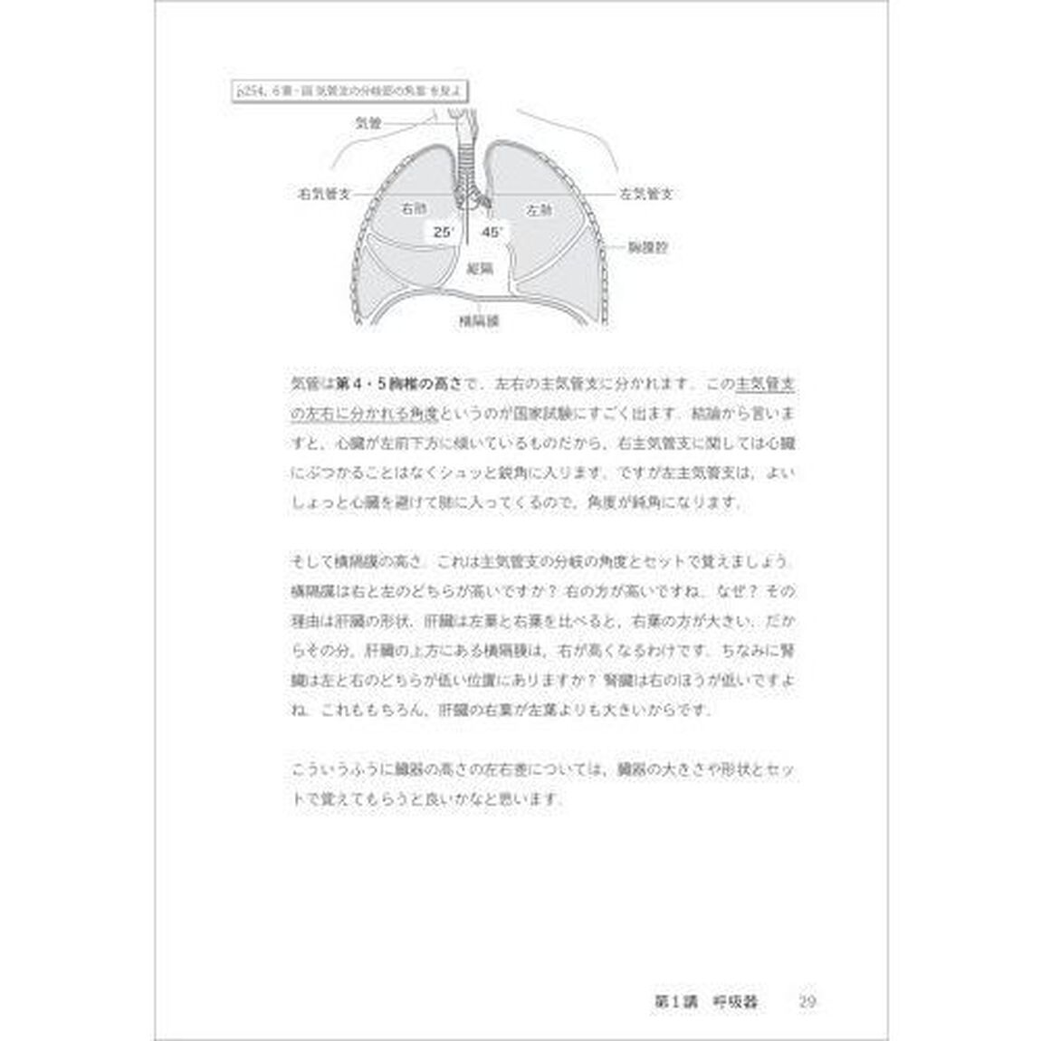 Ｓｔａｙ&rsquo;ｓ　Ａｎａｔｏｍｙ　臓器編