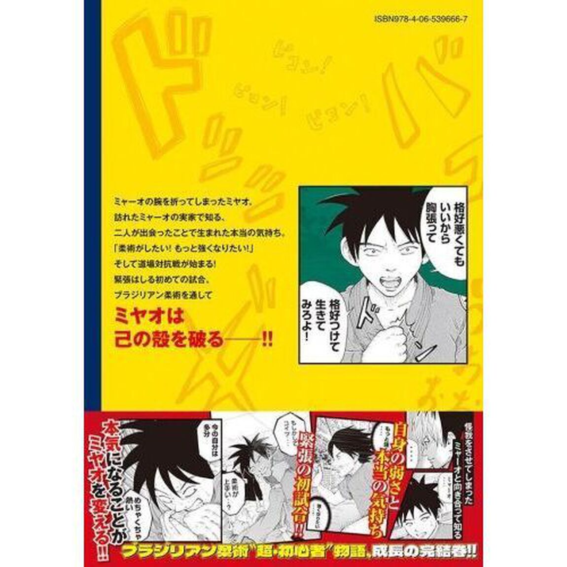 ブラジュ〜　３
