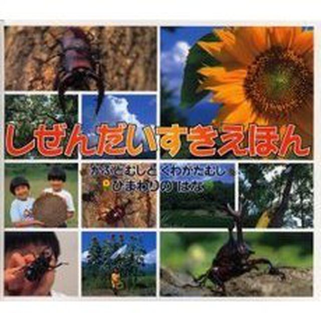 しぜんだいすきえほん　こんちゅう〈かぶとむしとくわがたむし〉しょくぶつ〈ひまわりのはな〉