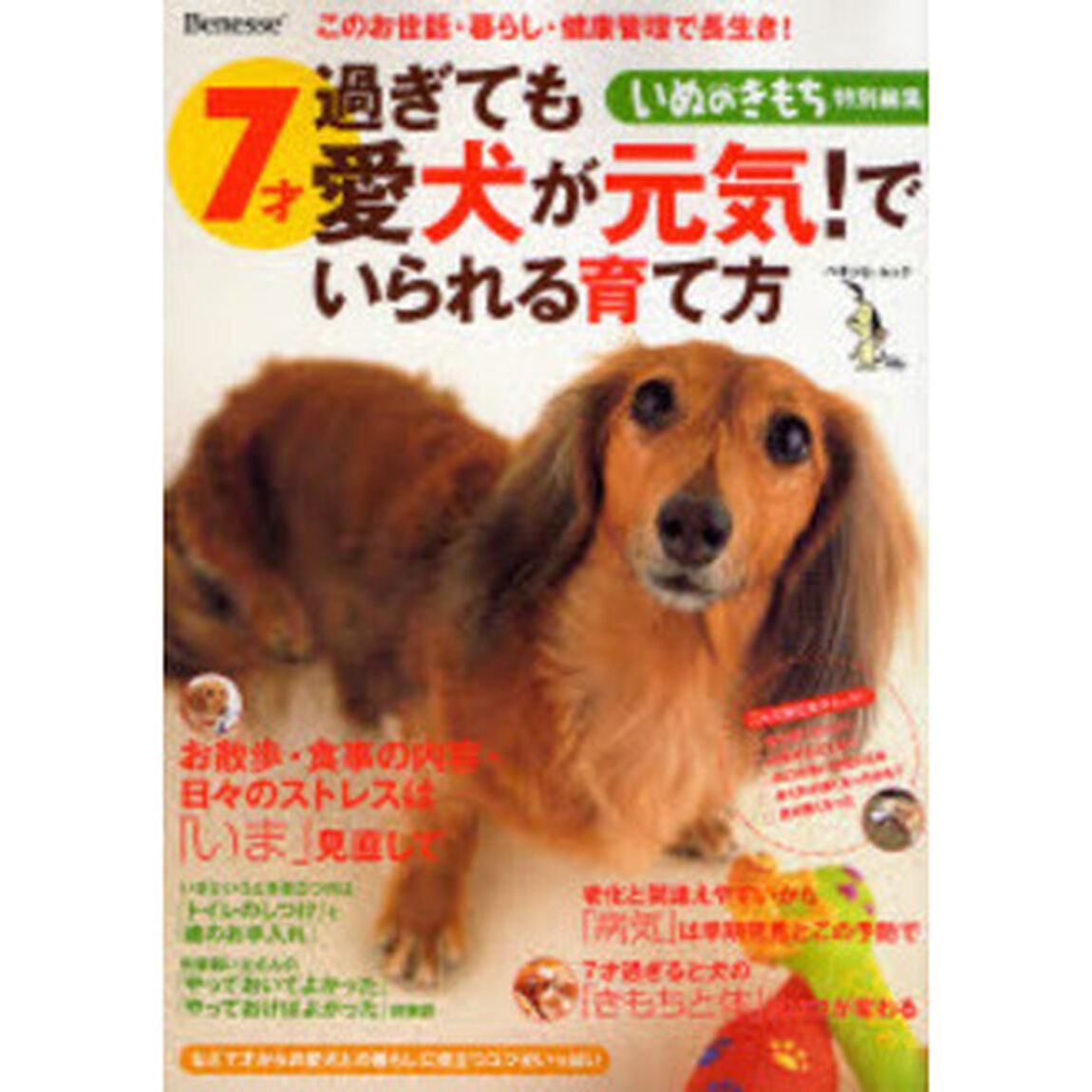 ７才過ぎても愛犬が元気！でいられる育て方
