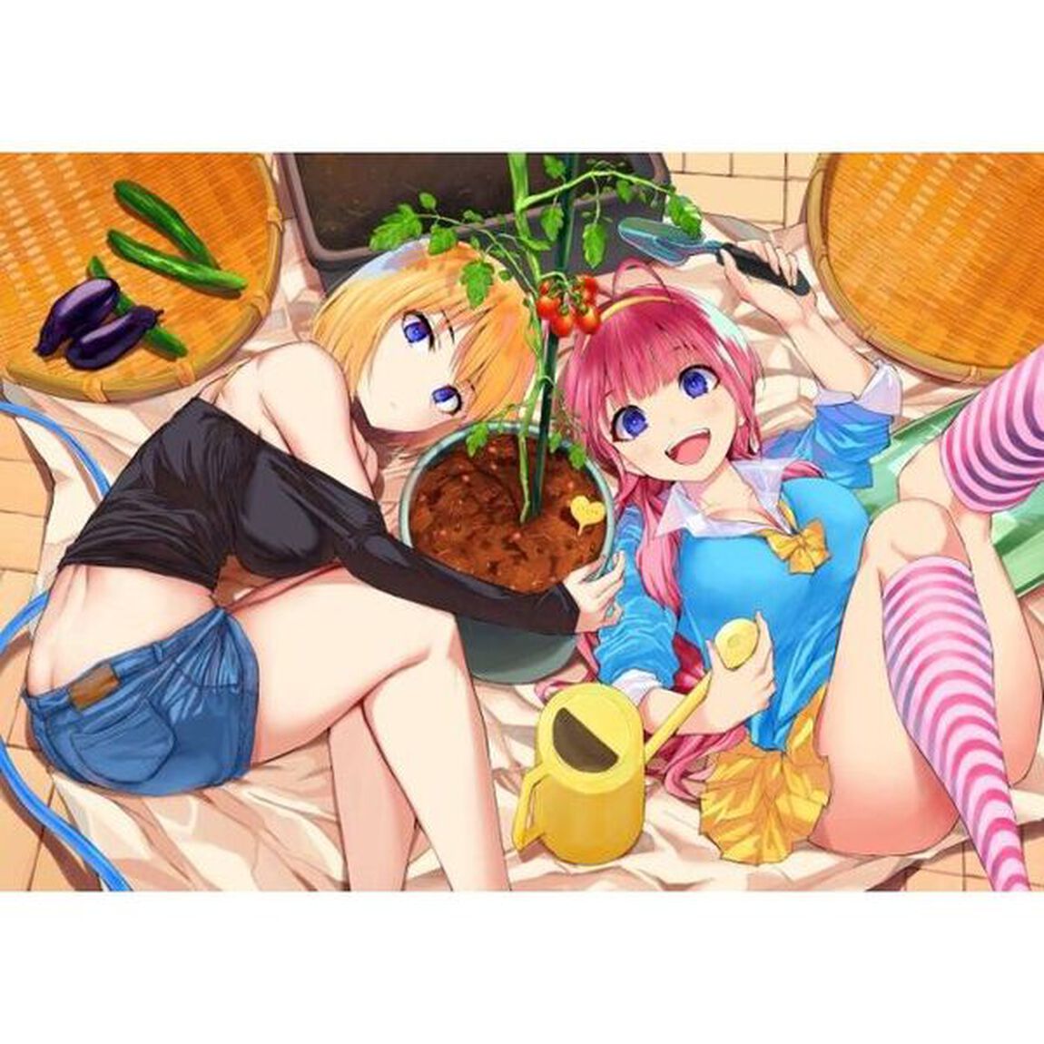 双子菜園　１