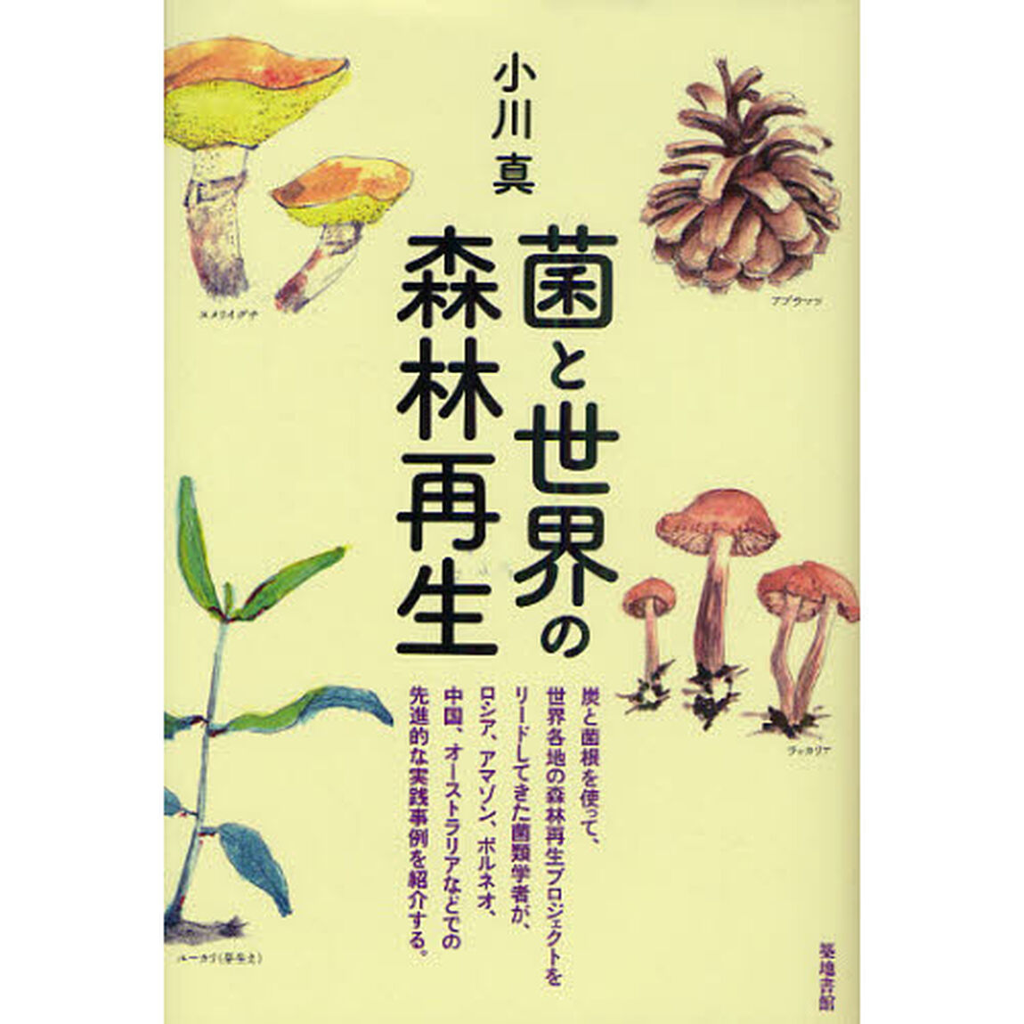 菌と世界の森林再生