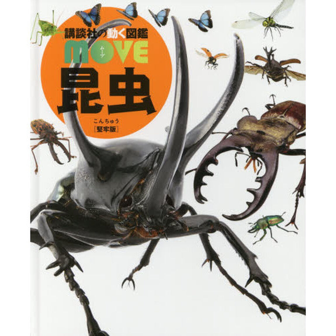 昆虫　堅牢版