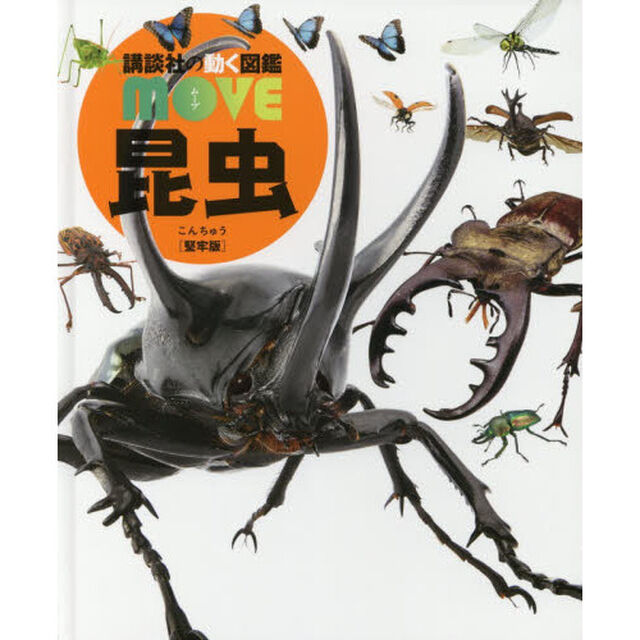 昆虫　堅牢版